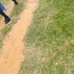 IMG-20260617-WA0106