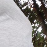 IMG-20260617-WA0132