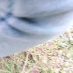IMG-20260617-WA0133